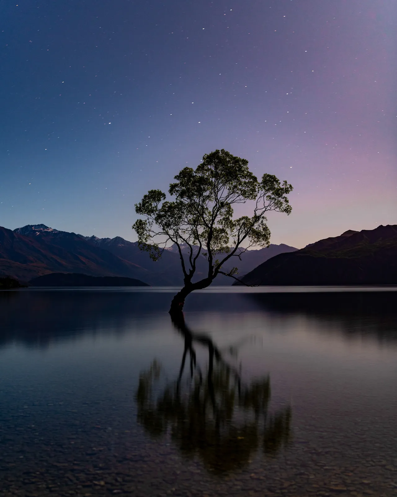 New Zealand — photo by Nick Greenquist