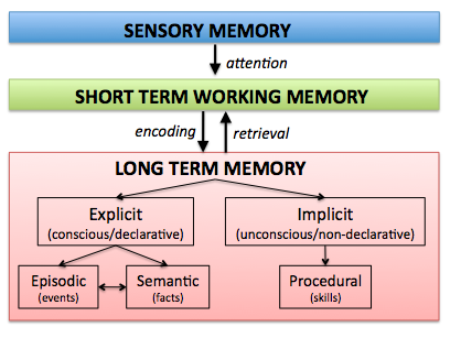 Memory